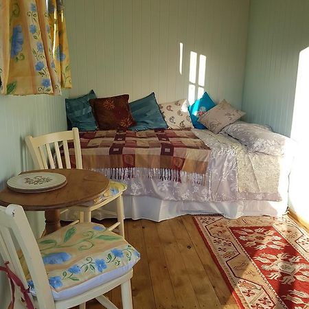 Shepherds Hut Dolly Wagon Keswick  Exteriör bild
