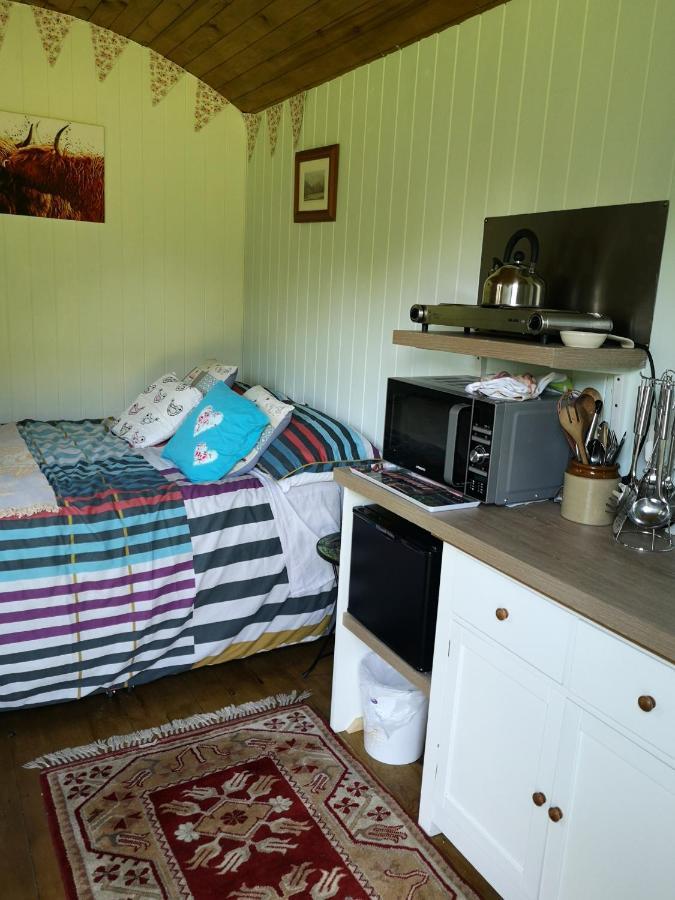 Shepherds Hut Dolly Wagon Keswick  Exteriör bild